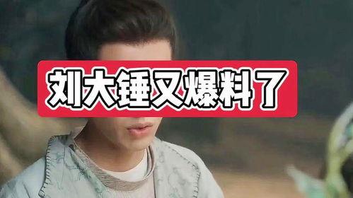 刘大锤明天爆料视频全集,揭秘视频全集幕后真相  第1张